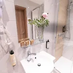Srebrny Bucznik Wellness & Restaurant Hotel *
