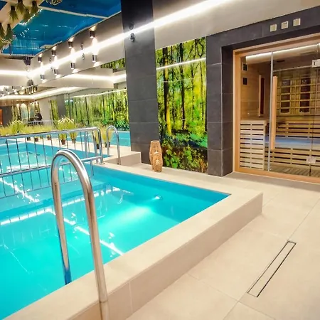 Hotel Srebrny Bucznik Wellness & Restaurant *