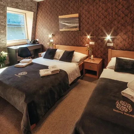 Srebrny Bucznik Wellness & Restaurant Hotel Istebna