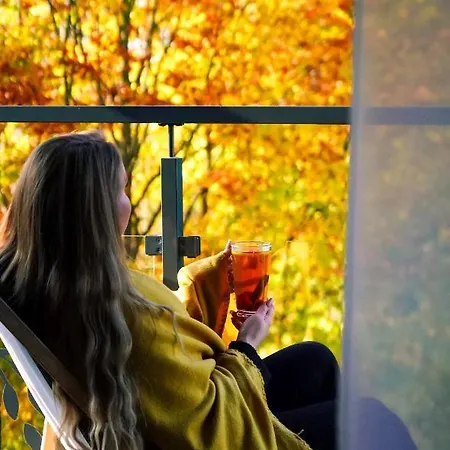 Hotel Srebrny Bucznik Wellness & Restaurant *