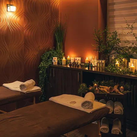 Srebrny Bucznik Wellness & Restaurant מלון *