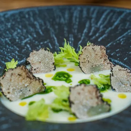 Srebrny Bucznik Wellness & Restaurant 酒店 *