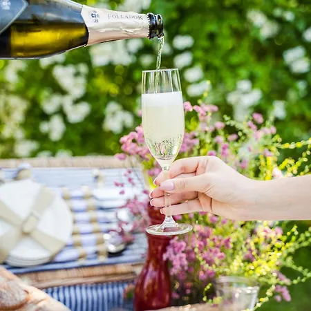 Srebrny Bucznik Wellness & Restaurant