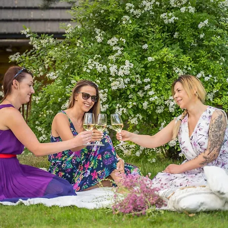 Srebrny Bucznik Wellness & Restaurant Готель Істебна
