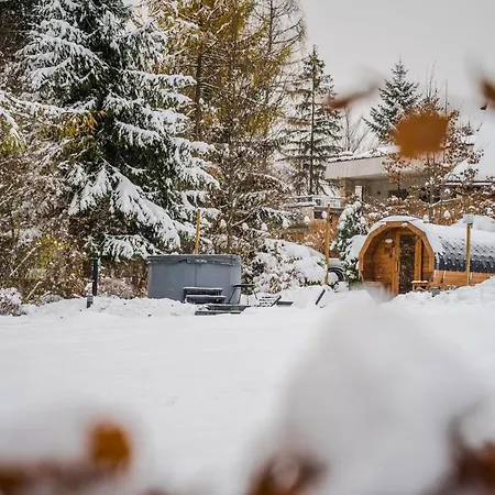 Srebrny Bucznik Wellness & Restaurant * Istebna