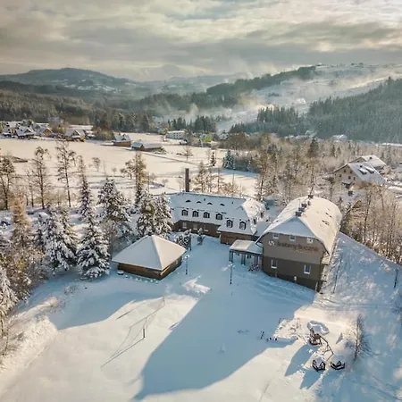 Hotel Srebrny Bucznik Wellness & Restaurant *