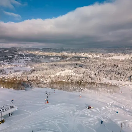 Srebrny Bucznik Wellness & Restaurant Hotel *