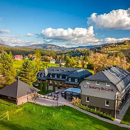 Srebrny Bucznik Wellness & Restaurant * Istebna