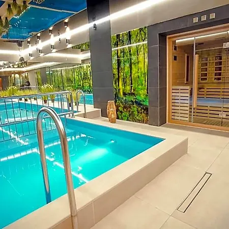 Hotel Srebrny Bucznik Wellness & Restaurant