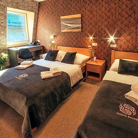 Hotel Srebrny Bucznik Wellness & Restaurant *