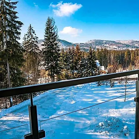 Srebrny Bucznik Wellness & Restaurant Istebna
