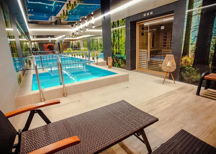 Srebrny Bucznik Wellness & Restaurant Istebna