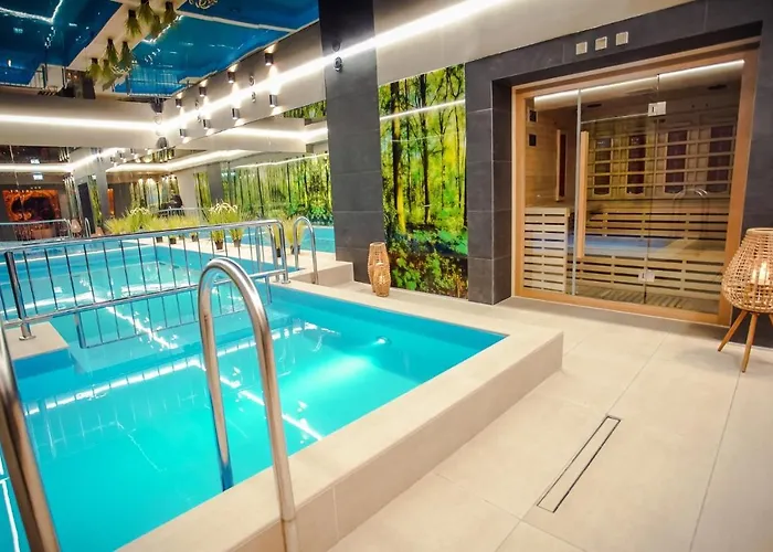 Hotel Srebrny Bucznik Wellness & Restaurant *