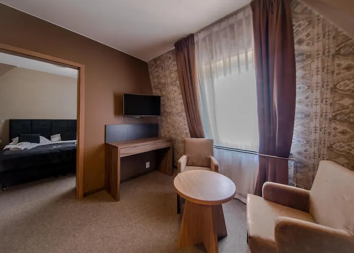 Srebrny Bucznik Wellness & Restaurant * Istebna