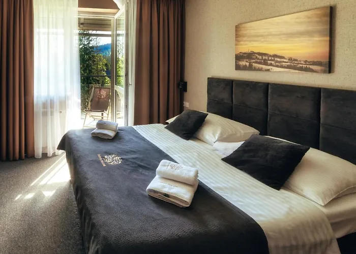 Srebrny Bucznik Wellness & Restaurant Hotel