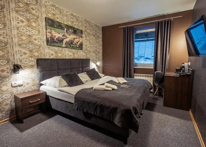 Srebrny Bucznik Wellness & Restaurant Hotel *