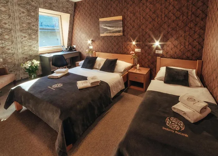 Srebrny Bucznik Wellness & Restaurant Hotel Istebna