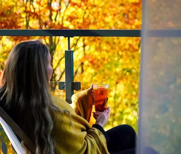 Hotel Srebrny Bucznik Wellness & Restaurant *