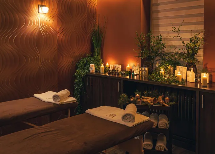 Srebrny Bucznik Wellness & Restaurant Hotel *