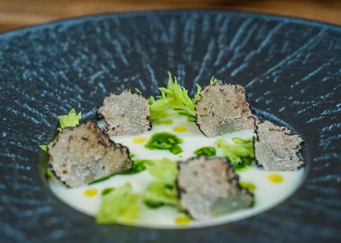 Srebrny Bucznik Wellness & Restaurant Hotel *