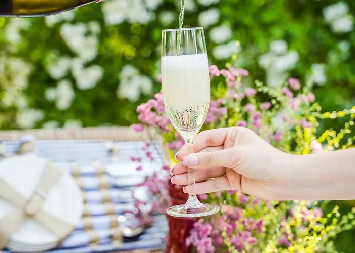 Srebrny Bucznik Wellness & Restaurant