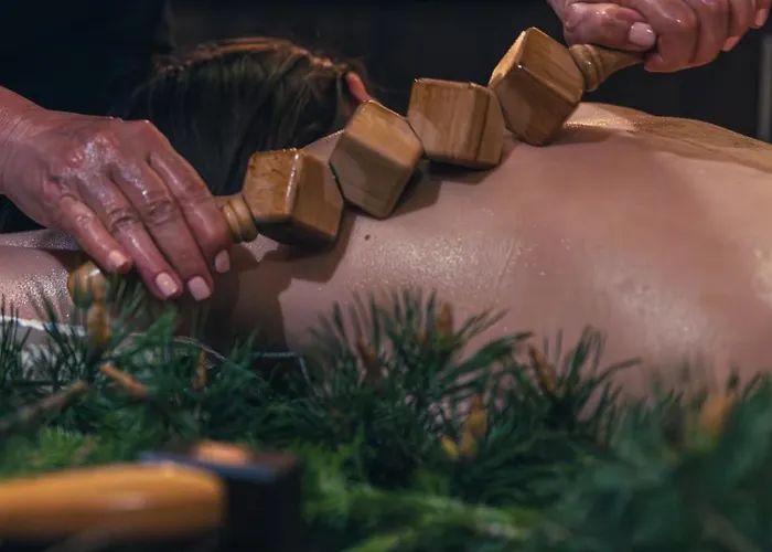 Srebrny Bucznik Wellness & Restaurant Hotel Istebna