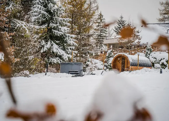 Srebrny Bucznik Wellness & Restaurant * Istebna