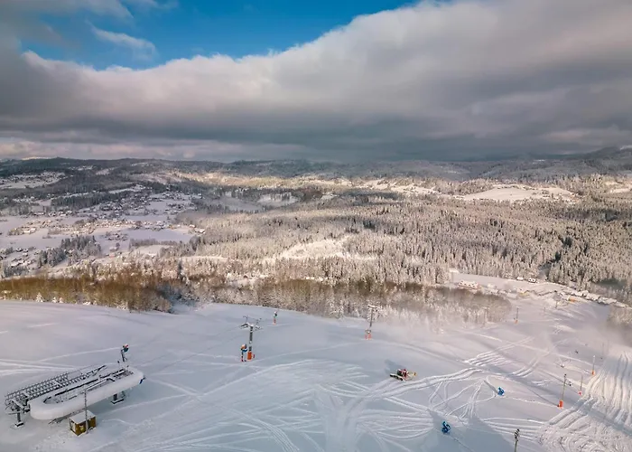 Srebrny Bucznik Wellness & Restaurant Hotel *