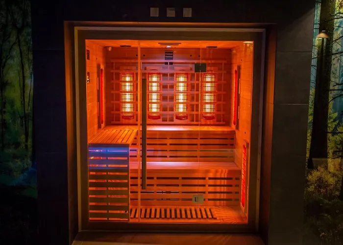 Srebrny Bucznik Wellness & Restaurant Hotel *