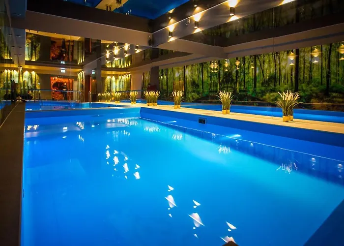 Srebrny Bucznik Wellness & Restaurant Istebna